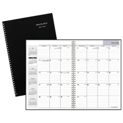 Academic Planners|AT-A-GLANCE 2024-2025 DayMinder 8