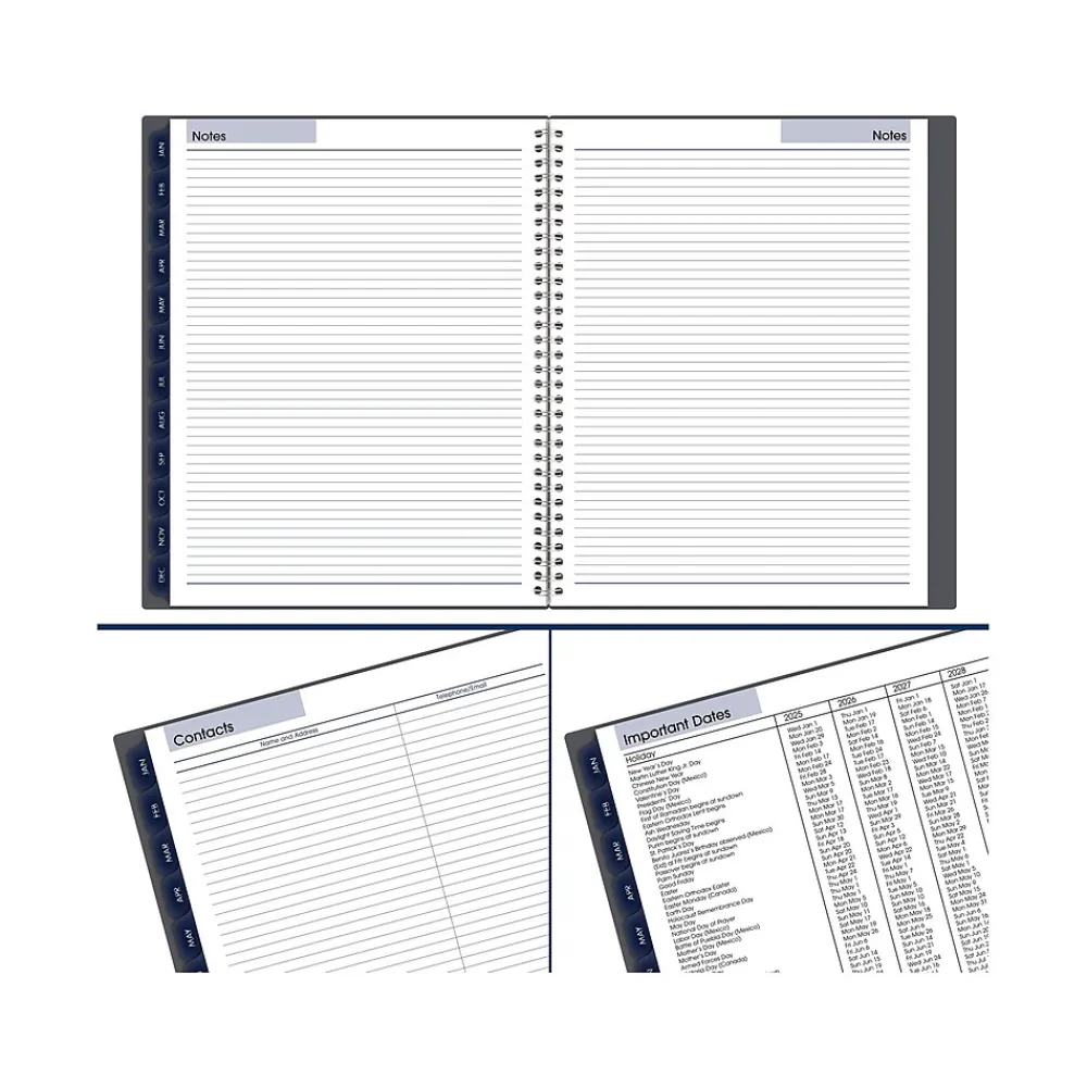 2025 Planners|AT-A-GLANCE 2025 DayMinder 8.5" x 11" Weekly & Monthly Appointment Book, Plastic Cover, Gray (GC520-07-25)