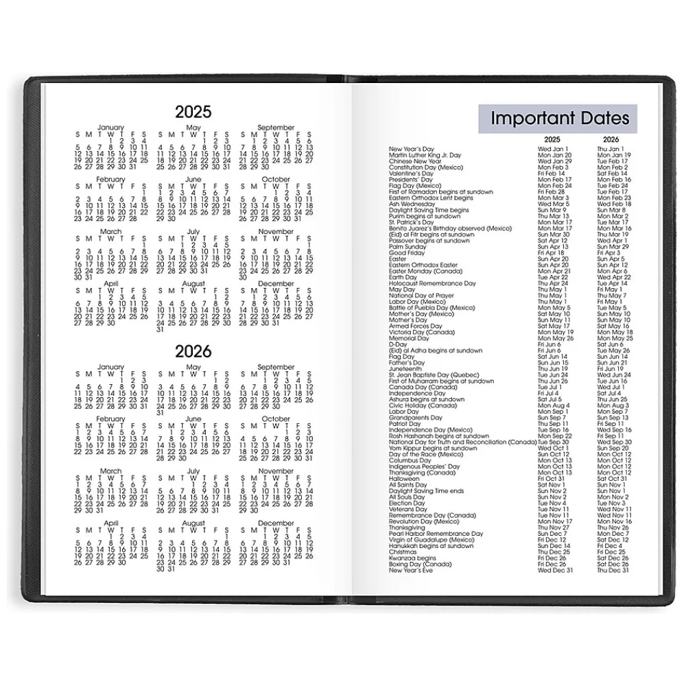 2025 Planners|AT-A-GLANCE 2025 DayMinder 3.5" x 6" Weekly Planner, Poly Cover, Black (SK48-00-25)