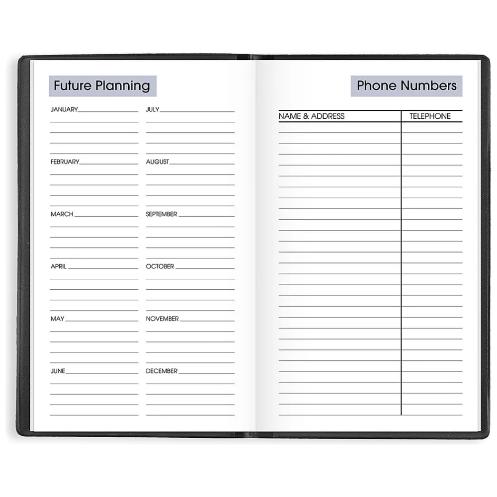 2025 Planners|AT-A-GLANCE 2025 DayMinder 3.5" x 6" Weekly Planner, Poly Cover, Black (SK48-00-25)