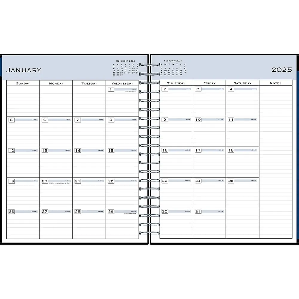 2025 Planners|Blue Sky 2025 8.5" x 11" Daily & Monthly Planner, Plastic Cover, Black (150852)