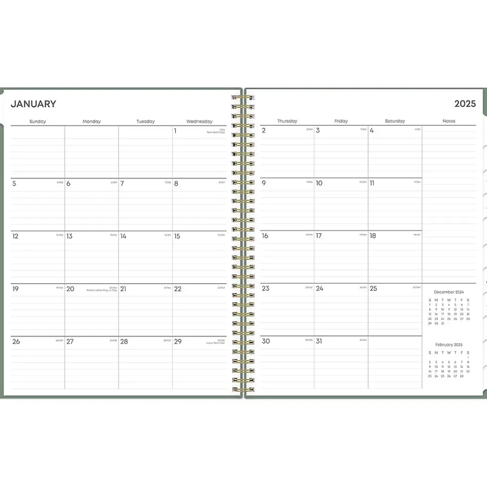 2025 Planners|Blue Sky 2025 8.5" x 11" Weekly & Monthly Planner, Plastic Cover, Linden Green (148236)