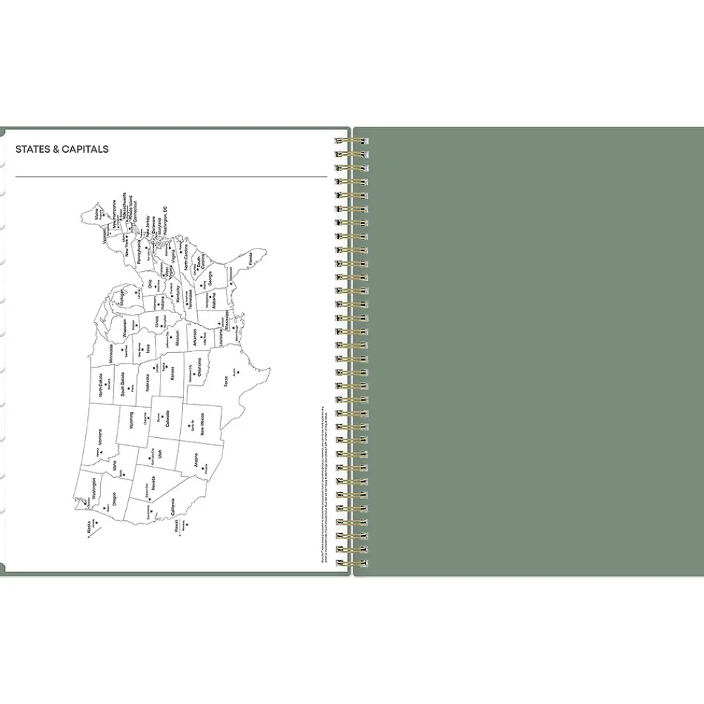 2025 Planners|Blue Sky 2025 8.5" x 11" Weekly & Monthly Planner, Plastic Cover, Linden Green (148236)