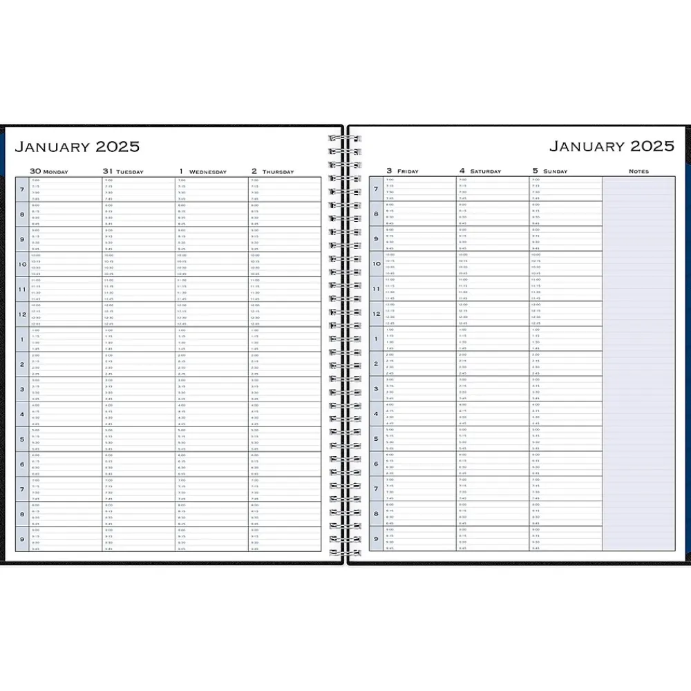 2025 Planners|Blue Sky 2025 8.5" x 11" Weekly & Monthly Appointment Book, Plastic Cover, Black (150848)