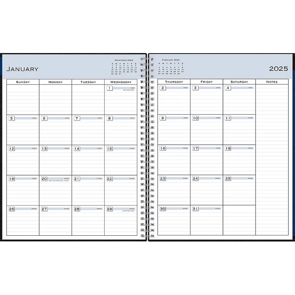2025 Planners|Blue Sky 2025 8.5" x 11" Weekly & Monthly Appointment Book, Plastic Cover, Black (150848)