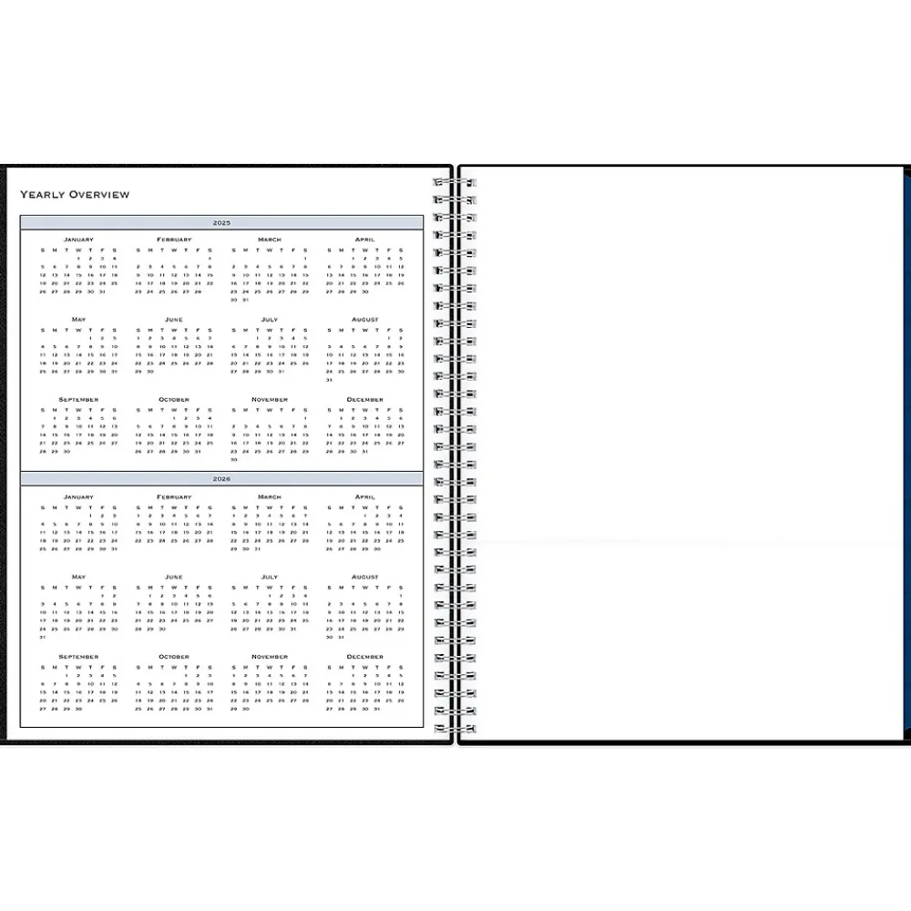 2025 Planners|Blue Sky 2025 8.5" x 11" Weekly & Monthly Appointment Book, Plastic Cover, Black (150848)