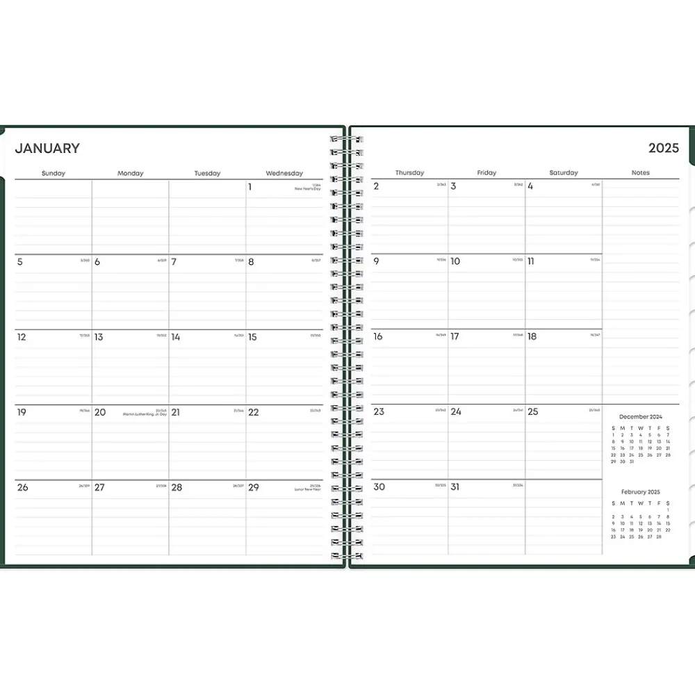 2025 Planners|Blue Sky 2025 8.5" x 11" Weekly & Monthly Appointment Book, Plastic Cover, Deep Forest Green (147963)