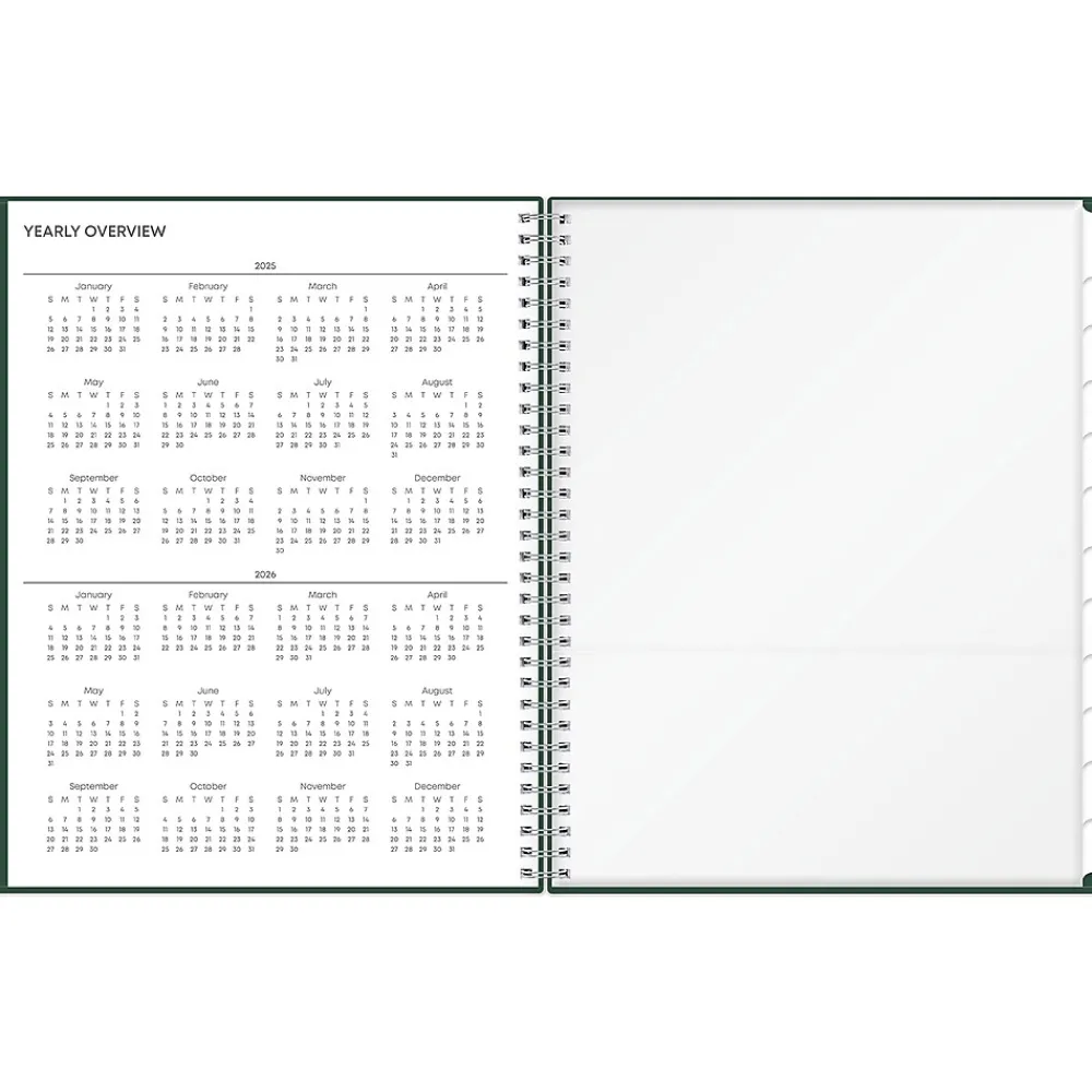 2025 Planners|Blue Sky 2025 8.5" x 11" Weekly & Monthly Appointment Book, Plastic Cover, Deep Forest Green (147963)