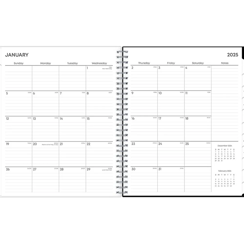 2025 Planners|Blue Sky 2025 Analeis 8" x 10" Monthly Planner, Plastic Cover, White/Black (100004-25)