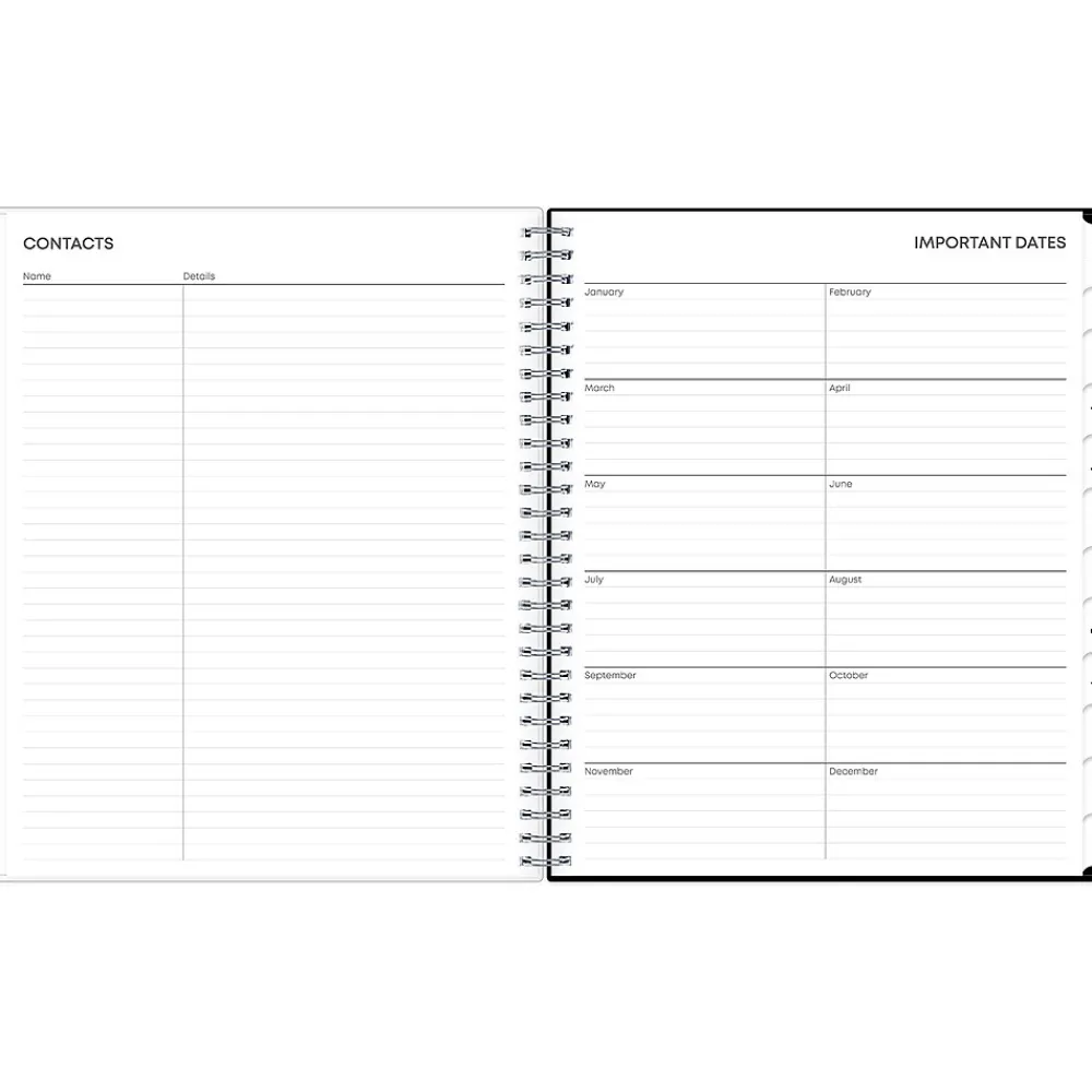 2025 Planners|Blue Sky 2025 Analeis 8" x 10" Monthly Planner, Plastic Cover, White/Black (100004-25)