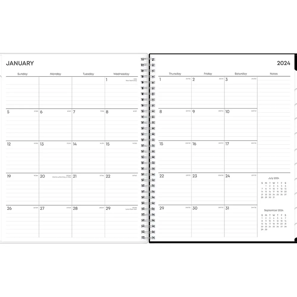 2025 Planners|Blue Sky 2025 Analeis 8.5" x 11" Weekly & Monthly Planner, Plastic Cover, White/Black (100001-25)