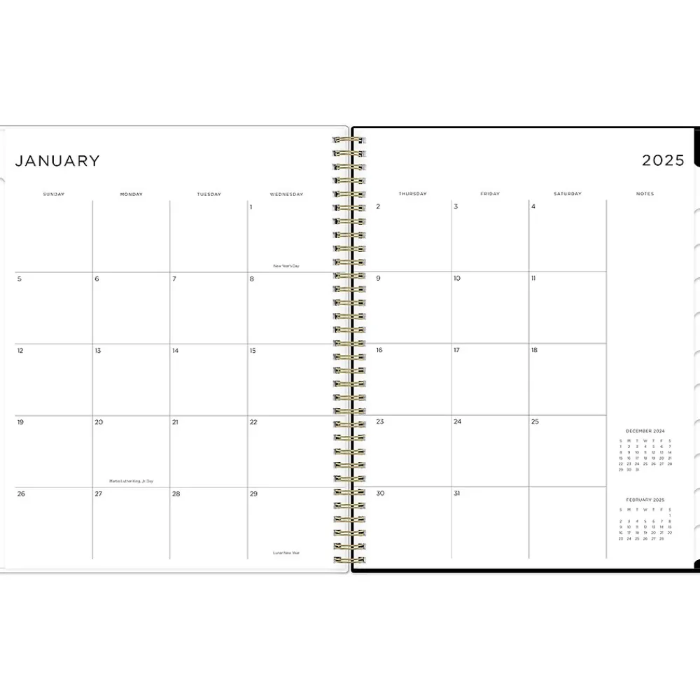 2025 Planners|Blue Sky 2025 Ashley G Small Dots 8.5" x 11" Weekly & Monthly Planner, Plastic Cover, Multicolor (148247)