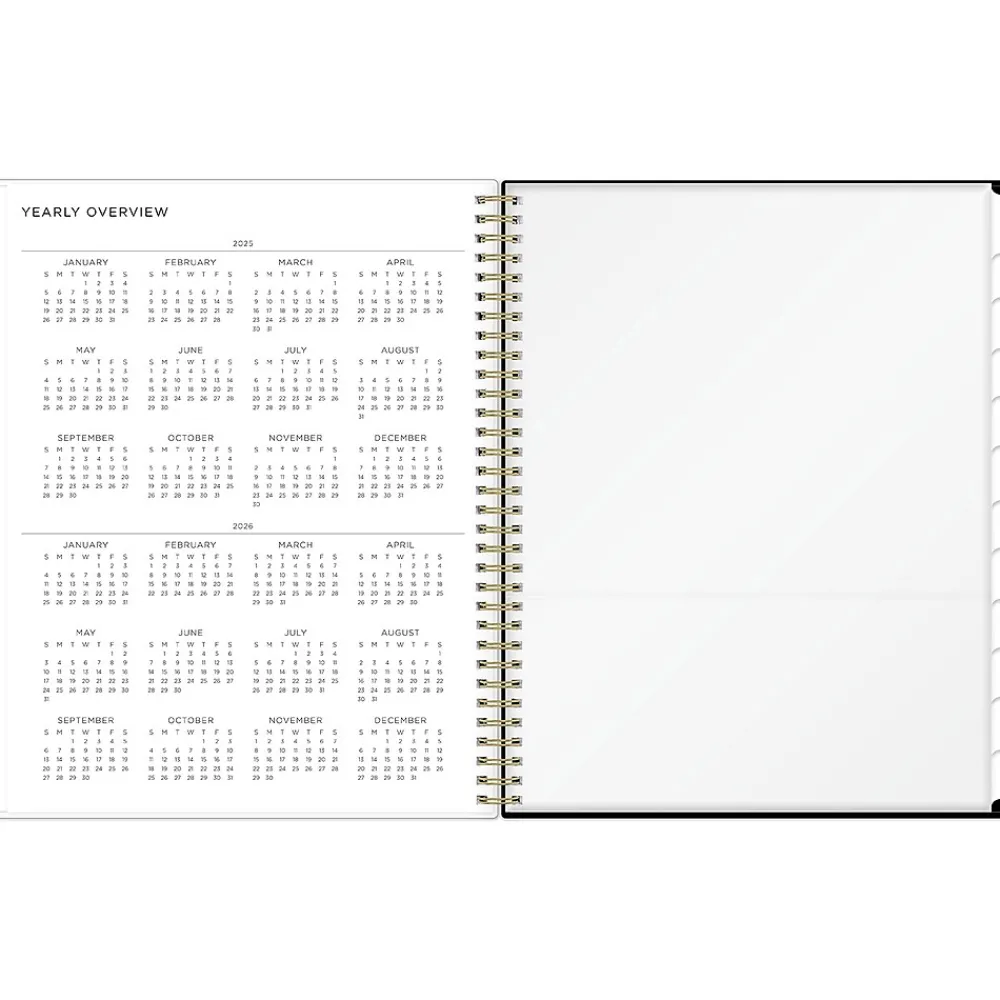 2025 Planners|Blue Sky 2025 Ashley G Small Dots 8.5" x 11" Weekly & Monthly Planner, Plastic Cover, Multicolor (148247)