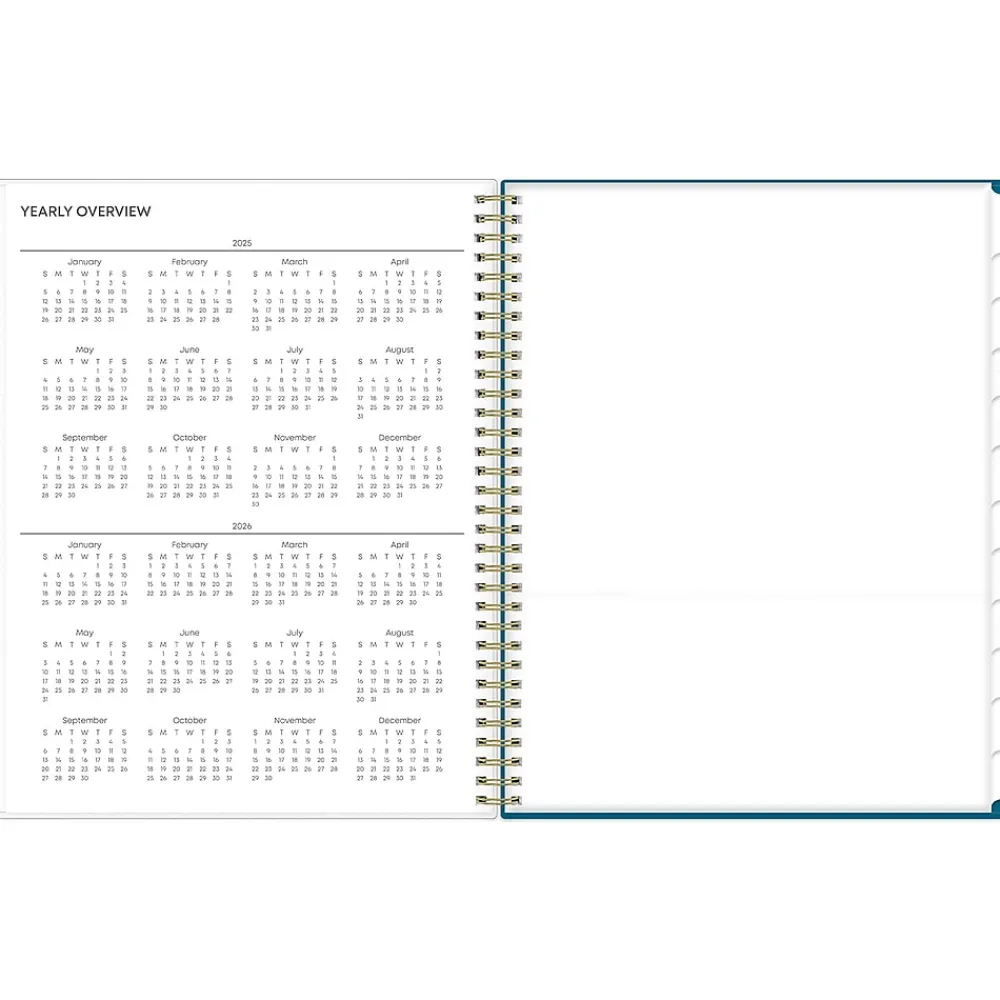 2025 Planners|Blue Sky 2025 Bakah Blue 8.5" x 11" Weekly & Monthly Planner, Plastic Cover, White/Blue (137261-25)
