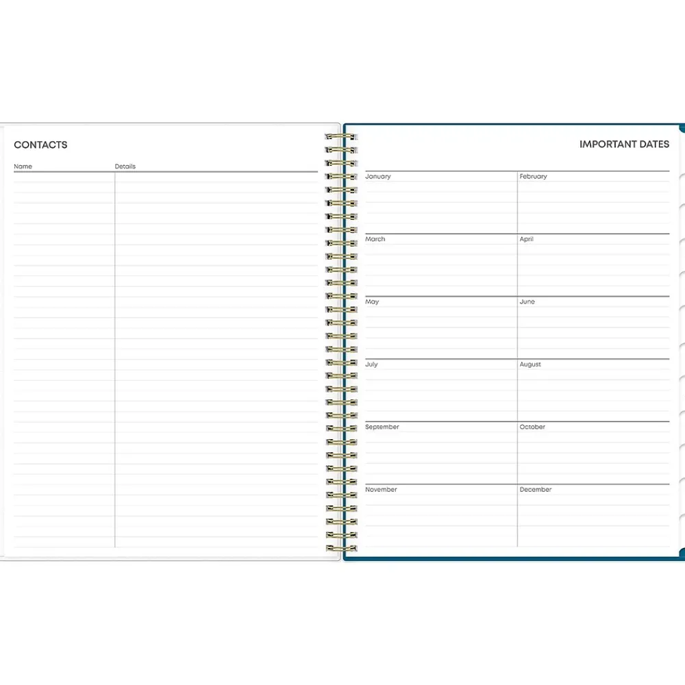 2025 Planners|Blue Sky 2025 Bakah Blue 8.5" x 11" Weekly & Monthly Planner, Plastic Cover, White/Blue (137261-25)