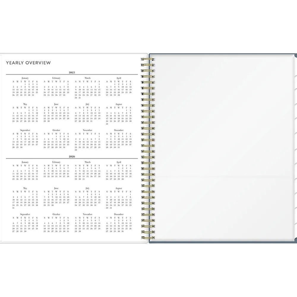 2025 Planners|Blue Sky 2025 Cocolie 8.5" x 11" Weekly & Monthly Planner, Plastic Cover, Blue/White (148256)