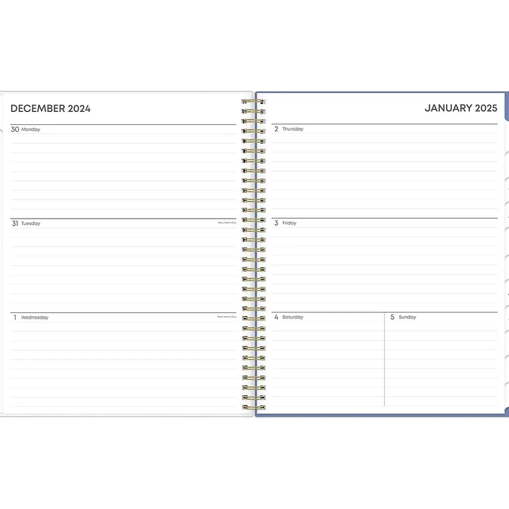 2025 Planners|Blue Sky 2025 Cocorrina 8.5" x 11" Weekly & Monthly Planner, Plastic Cover, Multicolor (143696-25)