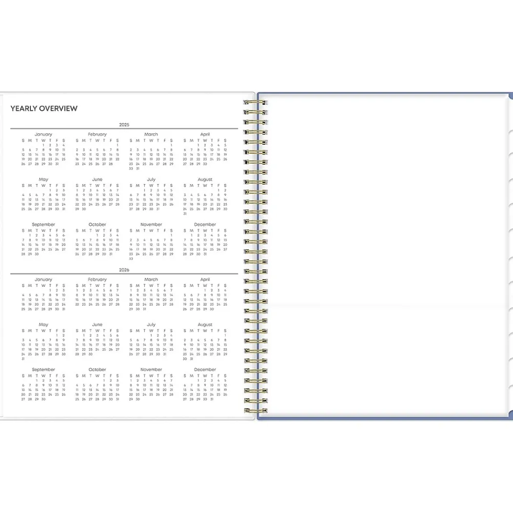 2025 Planners|Blue Sky 2025 Cocorrina 8.5" x 11" Weekly & Monthly Planner, Plastic Cover, Multicolor (143696-25)