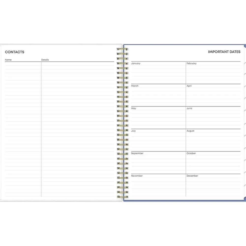 2025 Planners|Blue Sky 2025 Cocorrina 8.5" x 11" Weekly & Monthly Planner, Plastic Cover, Multicolor (143696-25)
