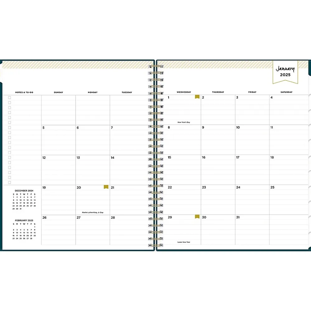 2025 Planners|Blue Sky 2025 Day Designer 8" x 10" Monthly Planner, Plastic Cover, Peacock (152222)