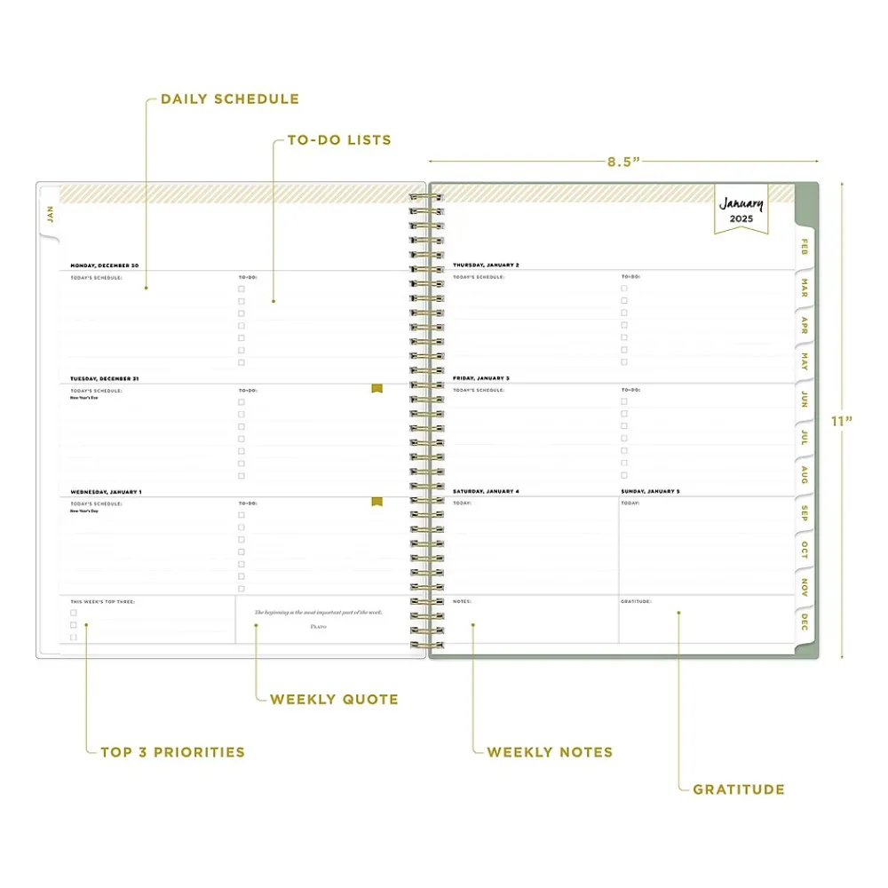 2025 Planners|Blue Sky 2025 Day Designer Felicity 8.5" x 11" Weekly Planner, Plastic Cover, Multicolor (148138)