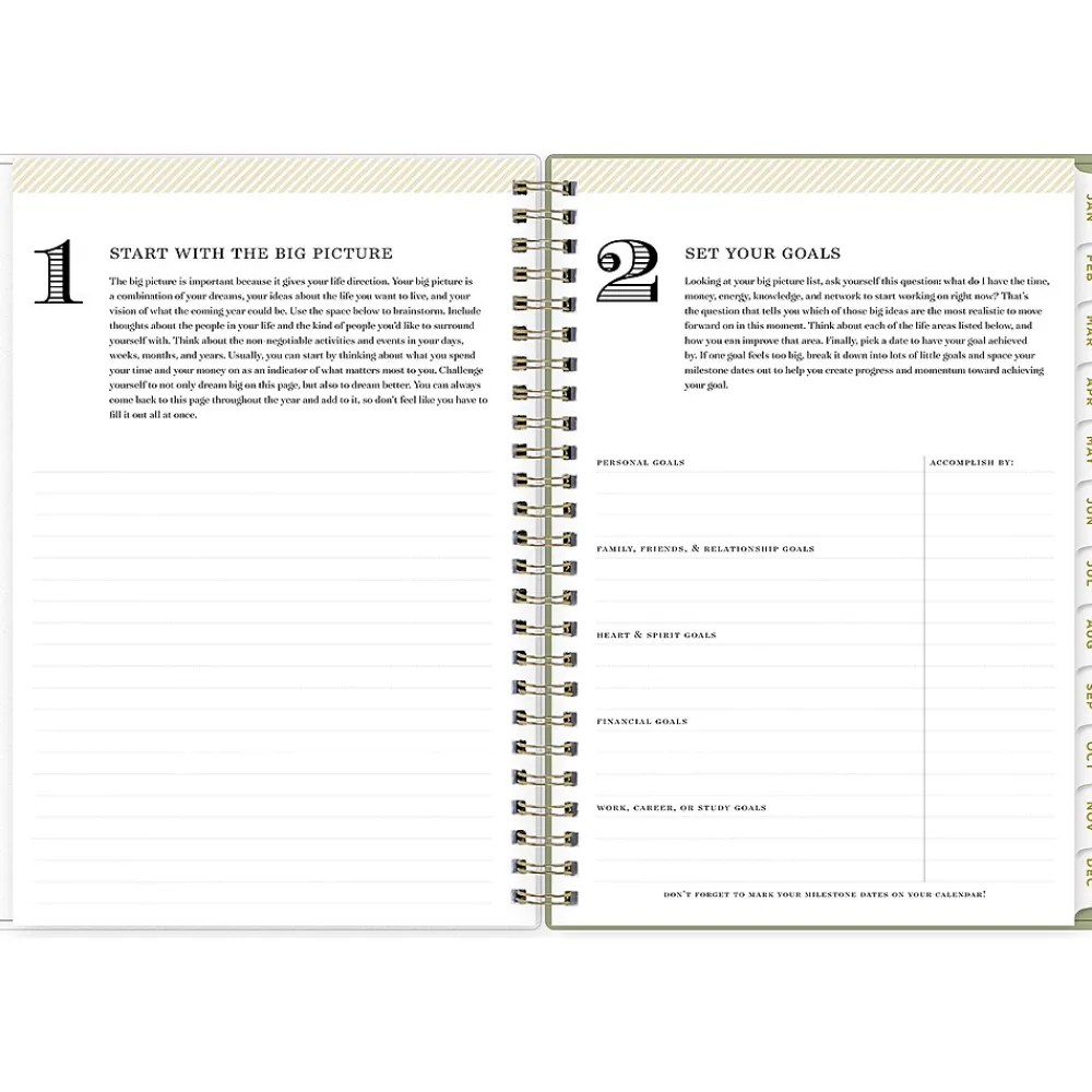 2025 Planners|Blue Sky 2025 Day Designer Fiore 5.88" x 8.63" Weekly & Monthly Planner, Plastic Cover, Multicolor (148141)