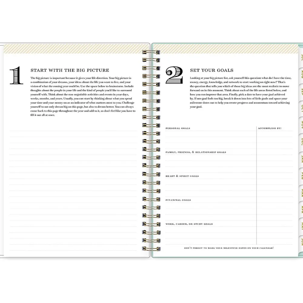 Academic Planners|Blue Sky 2024-2025 Day Designer Flower Field Mint 5.88" x 8.6" Academic Weekly & Monthly Planner, Plastic Cover, Multicolor