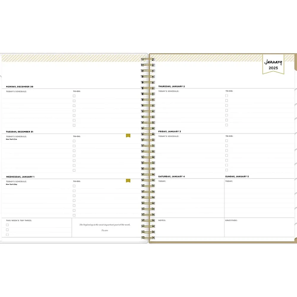 2025 Planners|Blue Sky 2025 Day Designer Gold Spotty 8.5" x 11" Weekly Planner, Plastic Cover, Gold/White (148132)