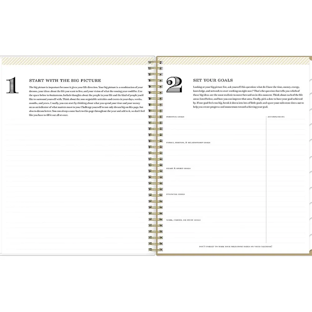 2025 Planners|Blue Sky 2025 Day Designer Gold Spotty 8.5" x 11" Weekly Planner, Plastic Cover, Gold/White (148132)
