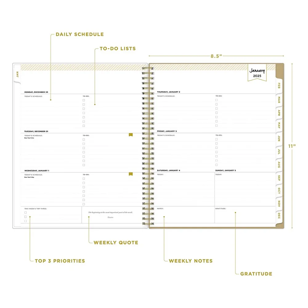 2025 Planners|Blue Sky 2025 Day Designer Gold Spotty 8.5" x 11" Weekly Planner, Plastic Cover, Gold/White (148132)