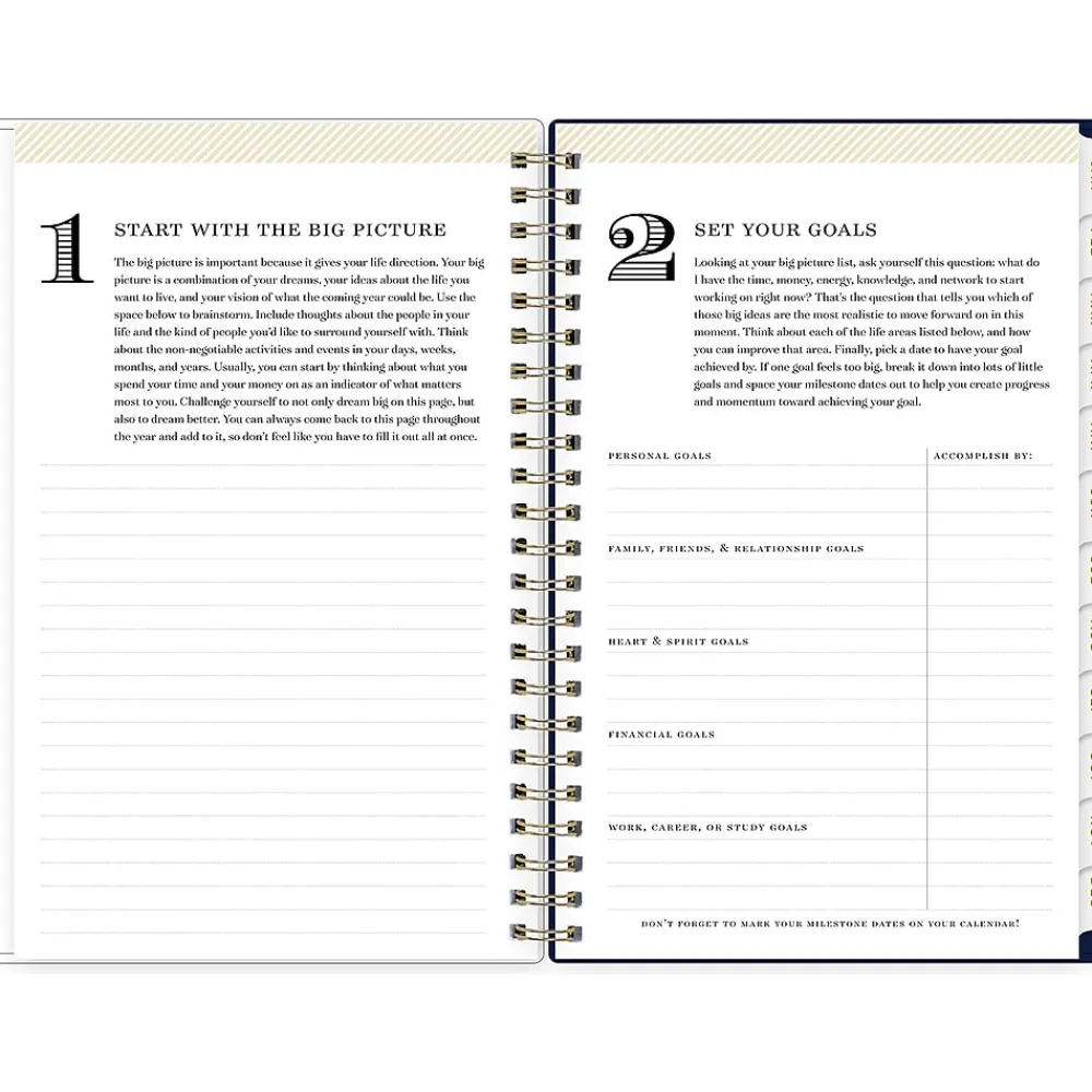 2025 Planners|Blue Sky 2025 Day Designer Meadow 5" x 8" Weekly & Monthly Planner, Plastic Cover, Multicolor (147224-25)