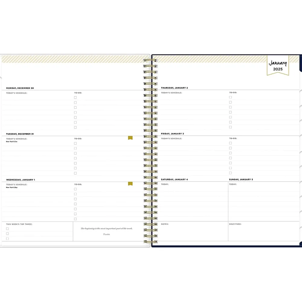 2025 Planners|Blue Sky 2025 Day Designer Meadow 8.5" x 11" Weekly & Monthly Planner, Plastic Cover, Multicolor (147222-25)