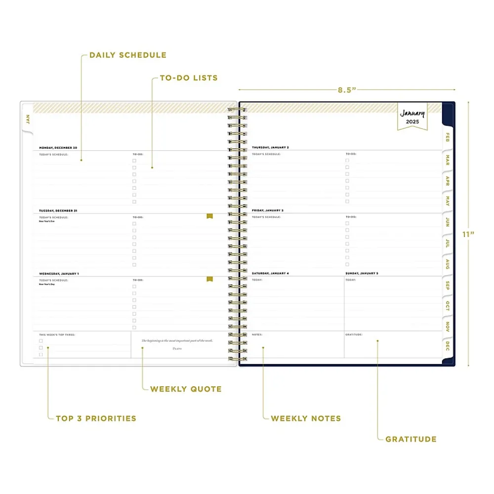2025 Planners|Blue Sky 2025 Day Designer Meadow 8.5" x 11" Weekly & Monthly Planner, Plastic Cover, Multicolor (147222-25)