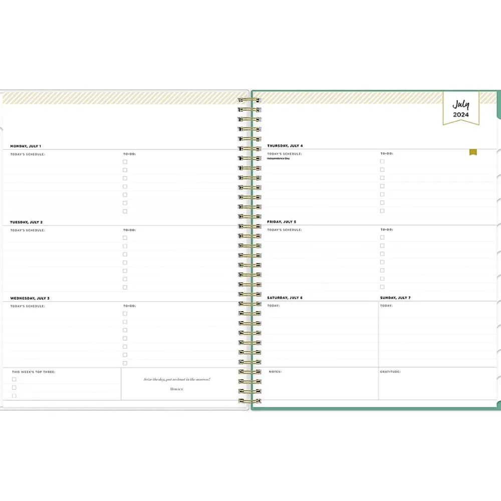 Academic Planners|Blue Sky 2024-2025 Day Designer Palms 8.5" x 11" Academic Weekly & Monthly Planner, Plastic Cover, White/Green (137891-A25)