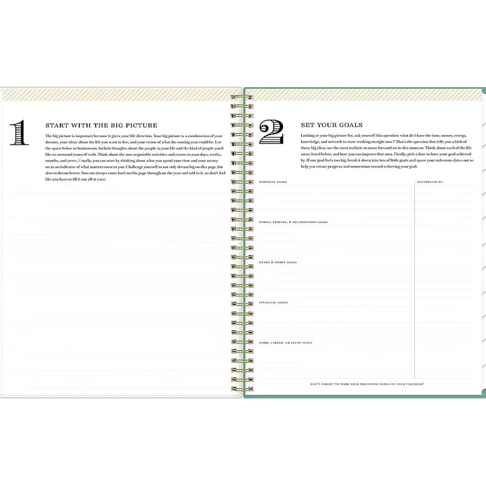 Academic Planners|Blue Sky 2024-2025 Day Designer Palms 8.5" x 11" Academic Weekly & Monthly Planner, Plastic Cover, White/Green (137891-A25)