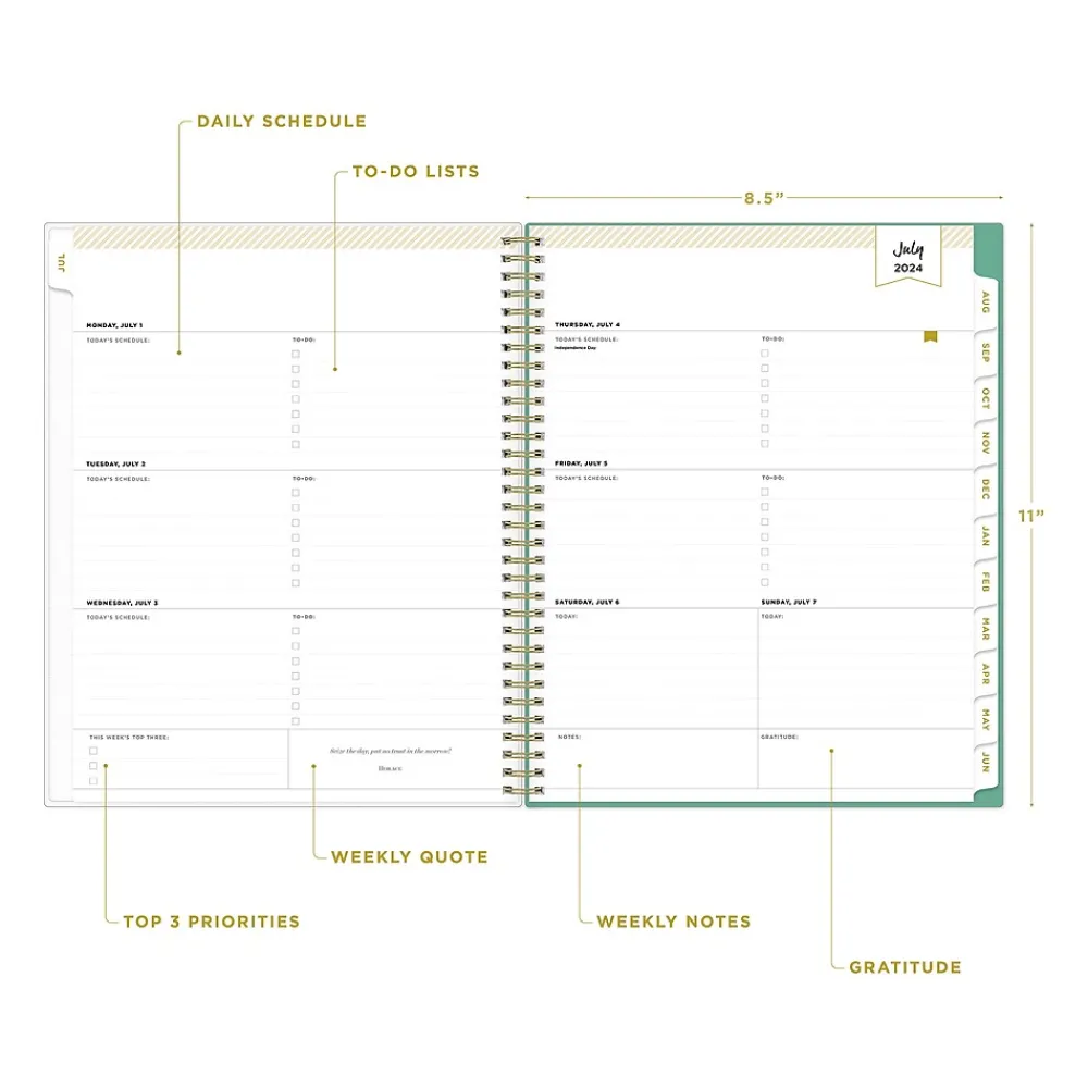 Academic Planners|Blue Sky 2024-2025 Day Designer Palms 8.5" x 11" Academic Weekly & Monthly Planner, Plastic Cover, White/Green (137891-A25)
