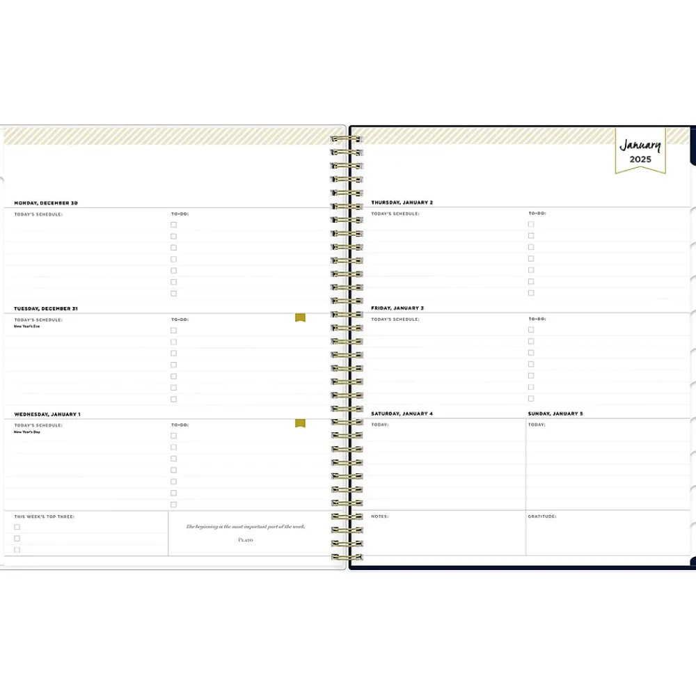 2025 Planners|Blue Sky 2025 Day Designer Peyton Navy 8.5" x 11" Weekly & Monthly Planner, Plastic Cover, Multicolor (103617-25)