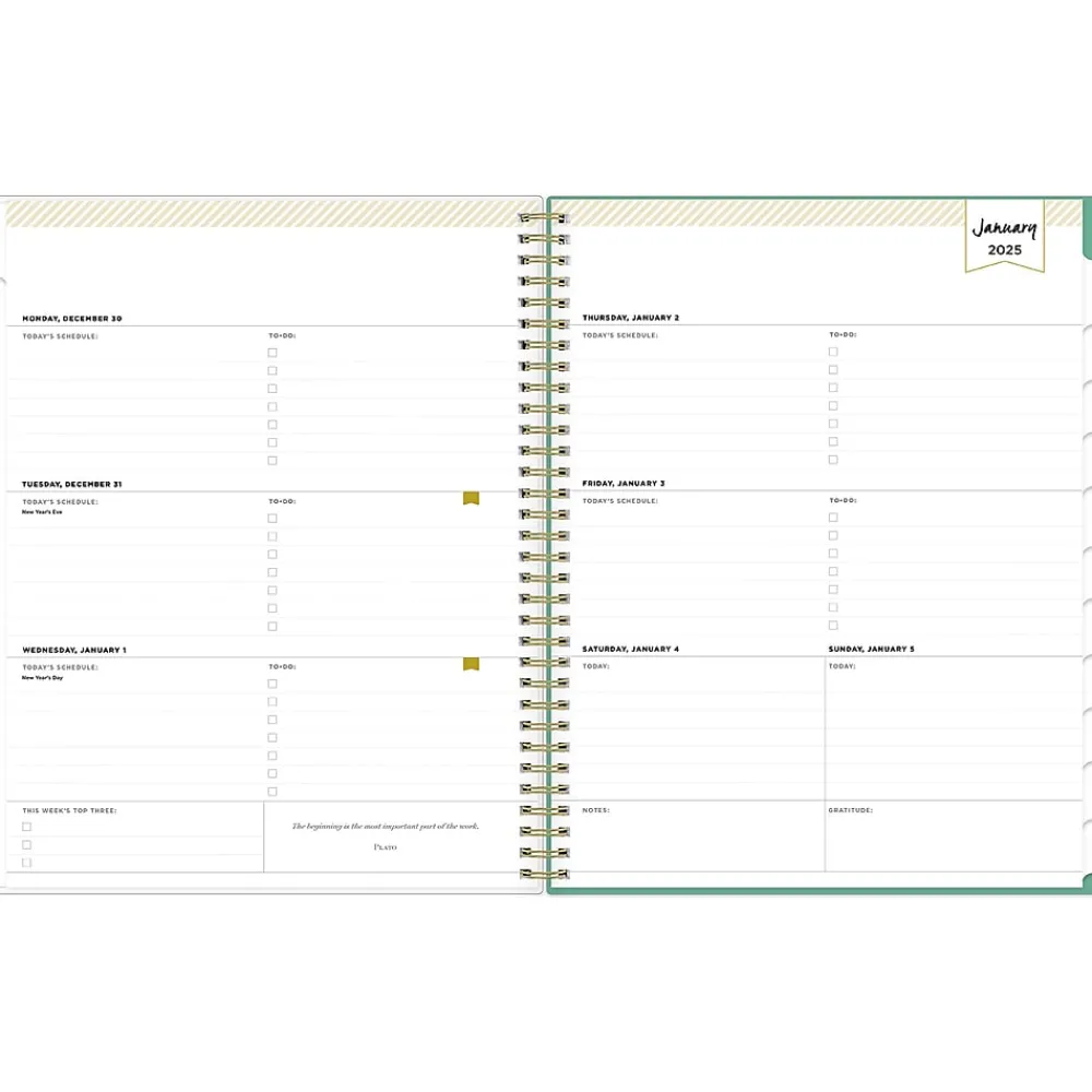 2025 Planners|Blue Sky 2025 Day Designer Peyton White 8.5" x 11" Weekly & Monthly Planner, Plastic Cover, Multicolor (103618-25)