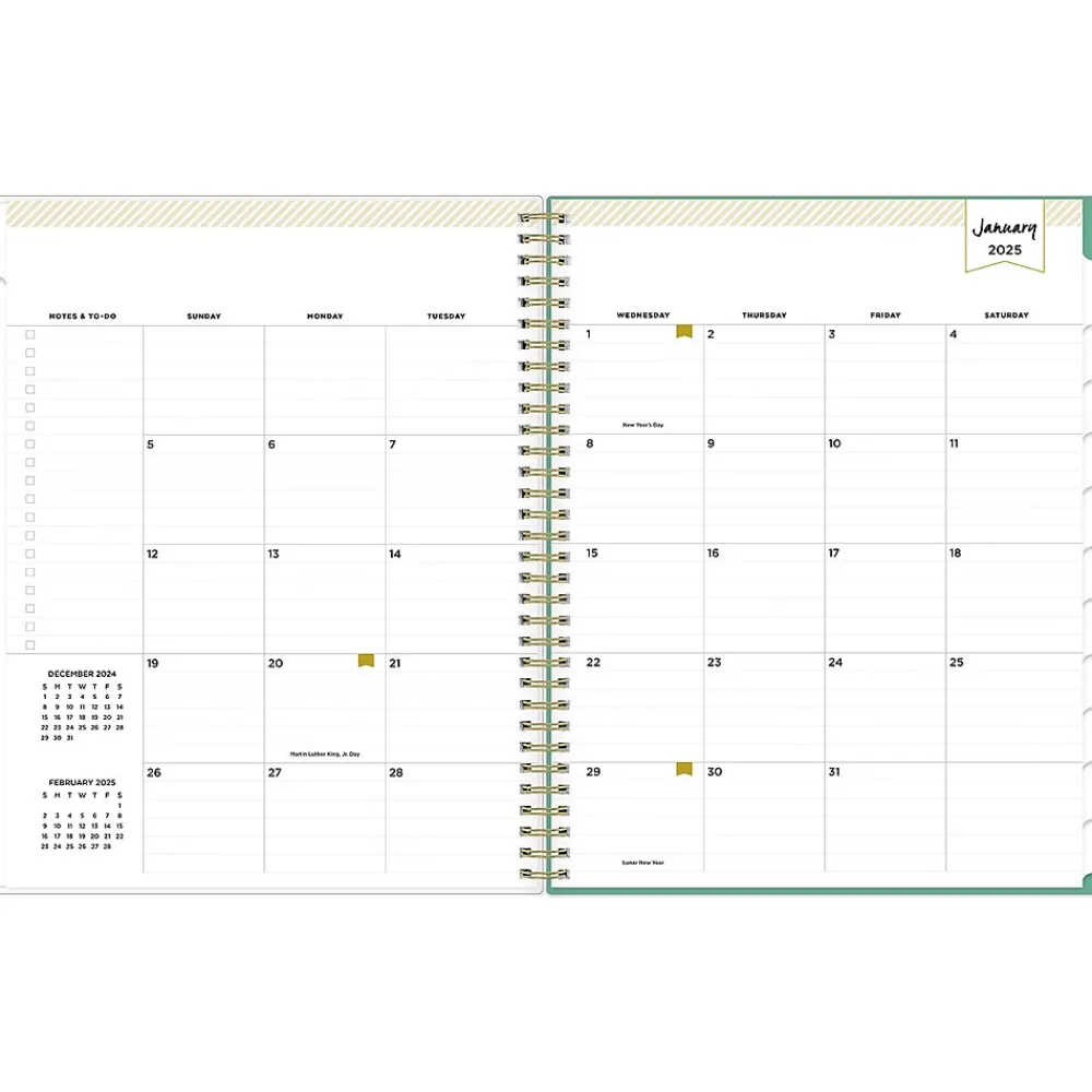 2025 Planners|Blue Sky 2025 Day Designer Peyton White 8.5" x 11" Weekly & Monthly Planner, Plastic Cover, Multicolor (103618-25)