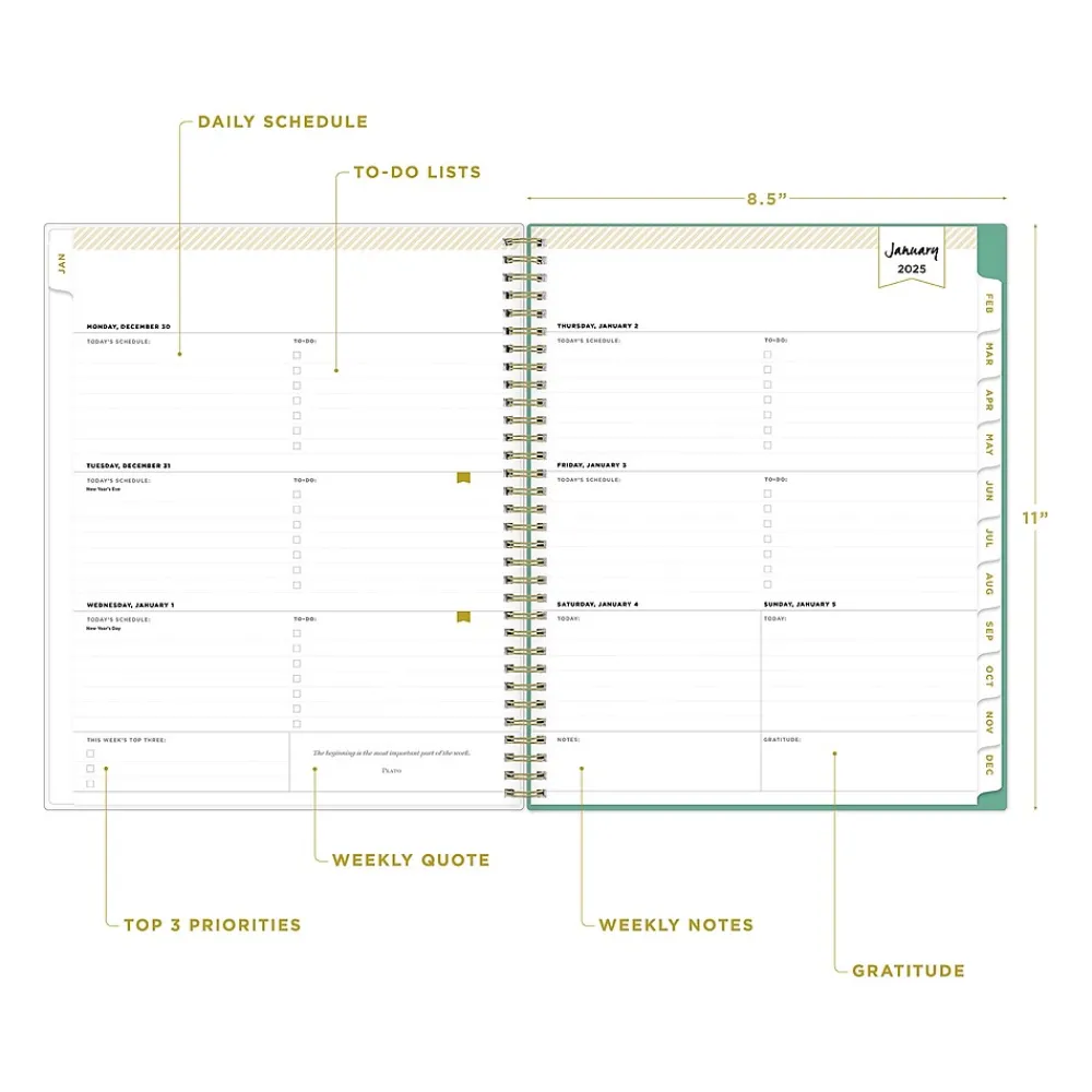 2025 Planners|Blue Sky 2025 Day Designer Peyton White 8.5" x 11" Weekly & Monthly Planner, Plastic Cover, Multicolor (103618-25)