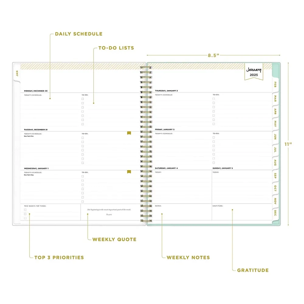2025 Planners|Blue Sky 2025 Day Designer Secret Garden Mint Green 8.5" x 11" Weekly & Monthly Planner, Plastic Cover, Multicolor