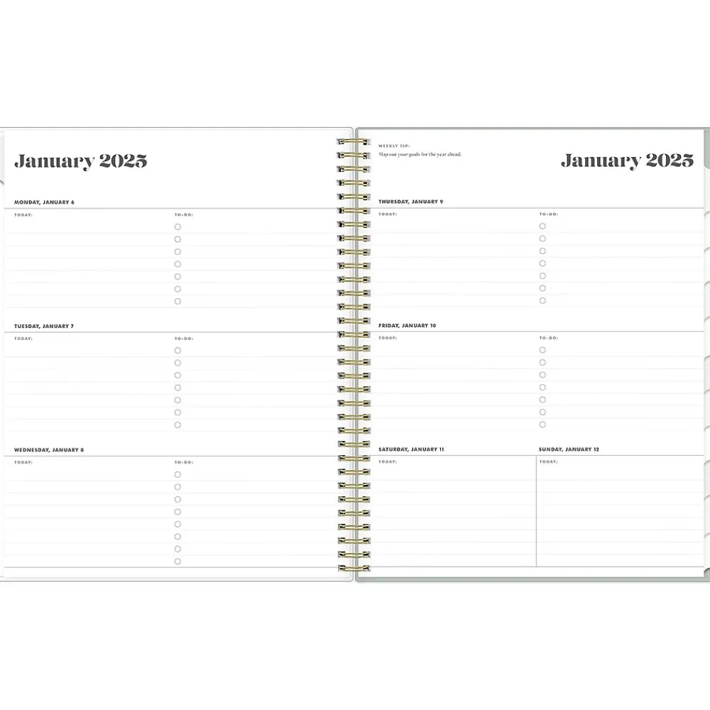 2025 Planners|Blue Sky 2025 Day Designer The Everygirl Tuberose 8.5" x 11" Weekly Planner, Plastic Cover, Green/White (150775)
