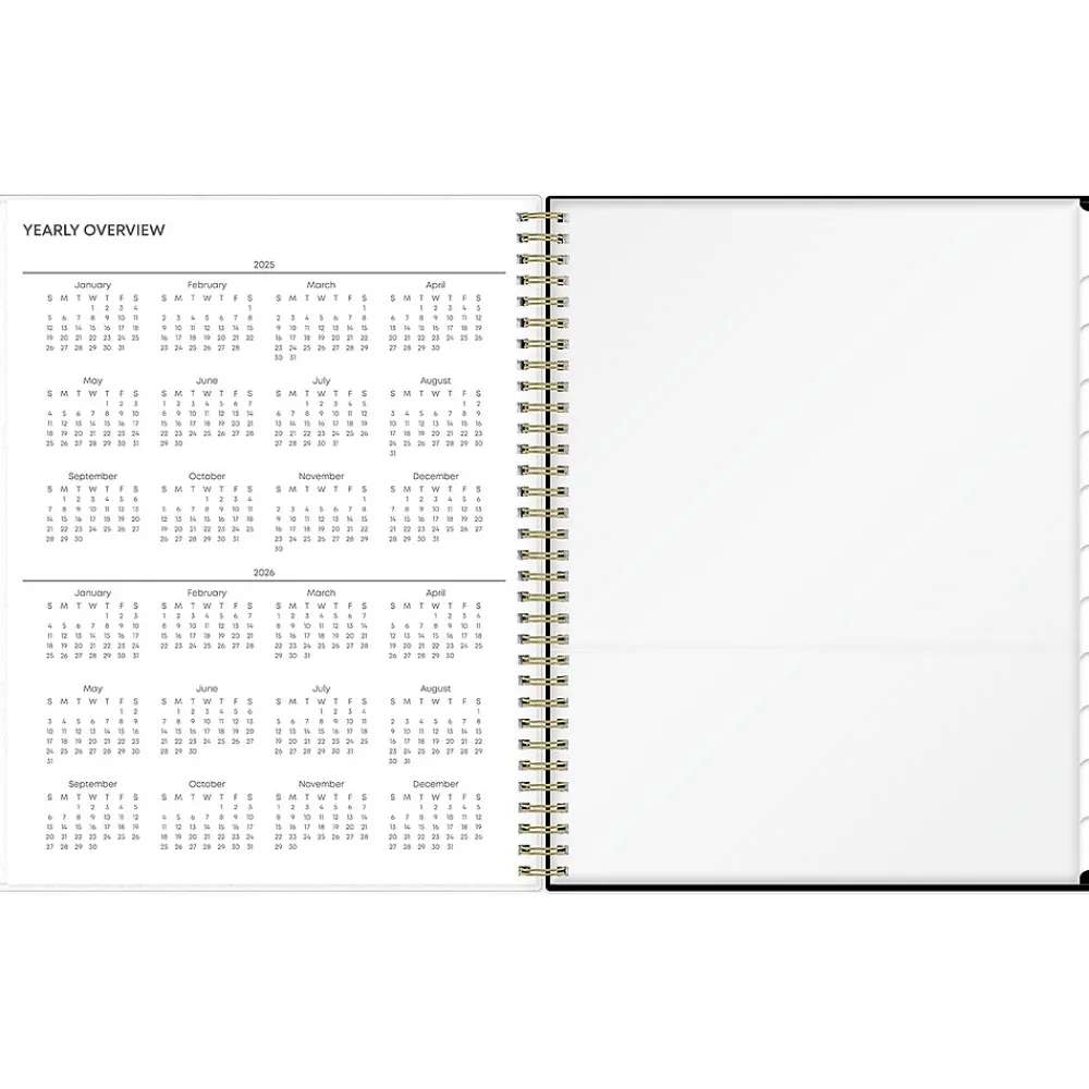 2025 Planners|Blue Sky 2025 Deelie 8.5" x 11" Weekly & Monthly Planner, Plastic Cover, White/Gray (152249)