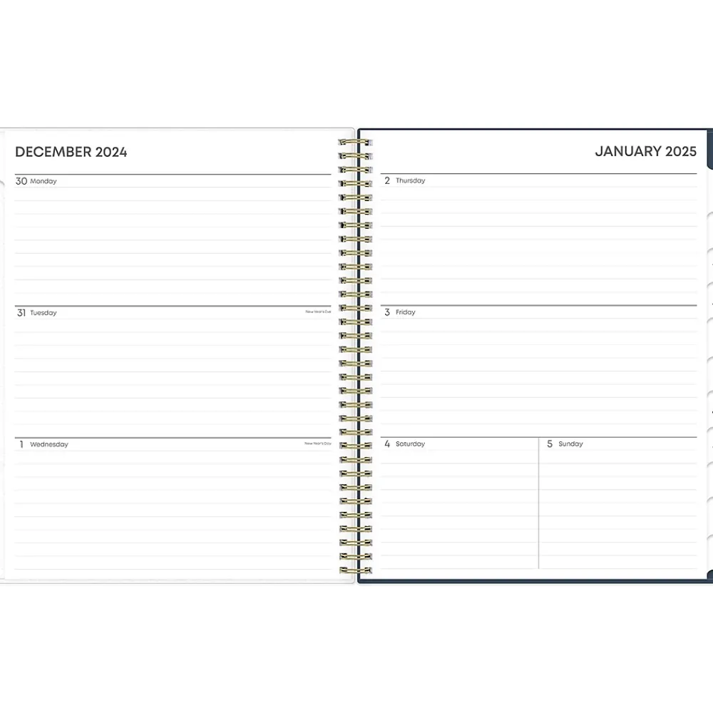 2025 Planners|Blue Sky 2025 Dellania 8.5" x 11" Weekly & Monthly Planner, Plastic Cover, Multicolor (148212)