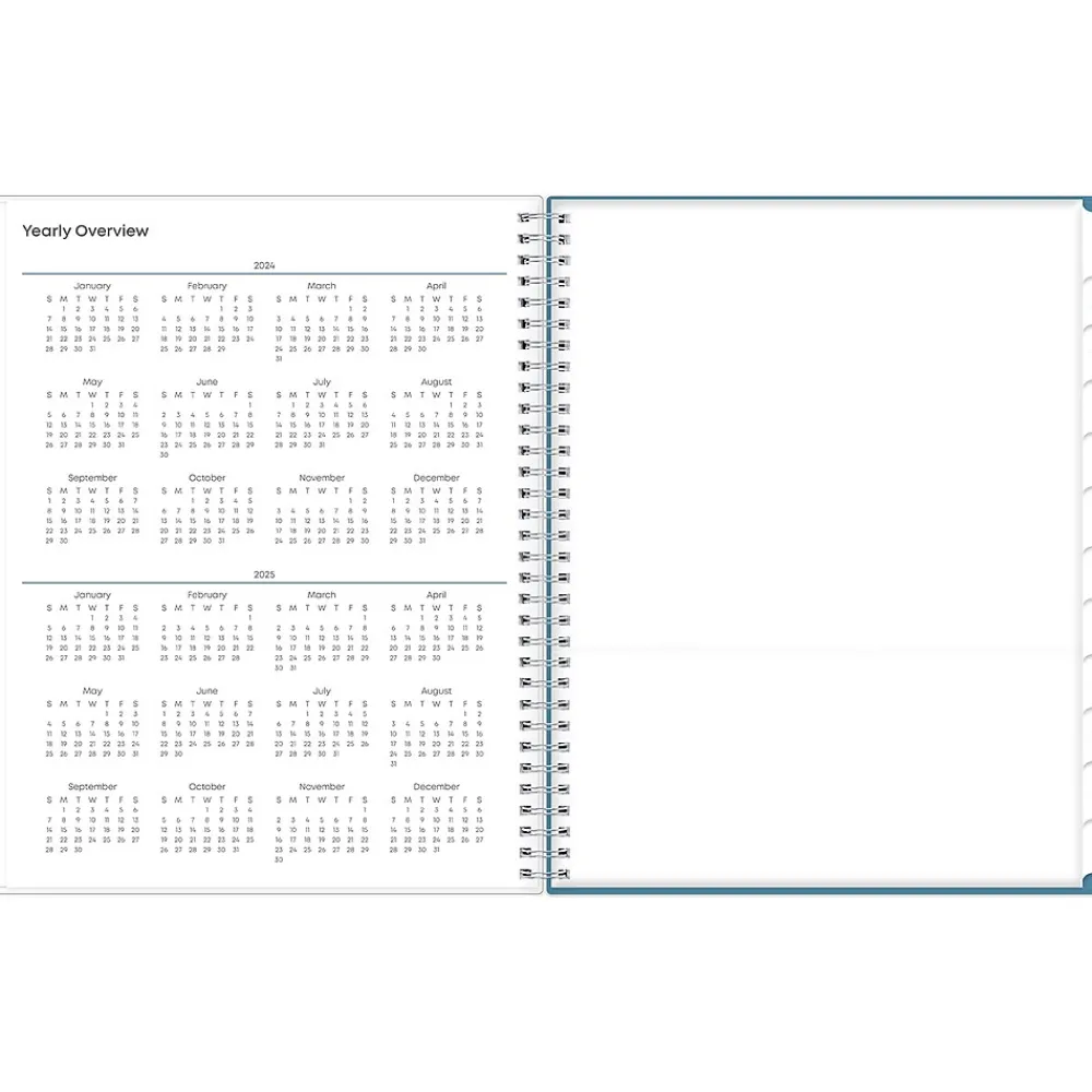 Academic Planners|Blue Sky 2024-2025 Ditsy Dapple Light 8.5" x 11" Academic Weekly & Monthly Teacher Planner, Plastic Cover, Multicolor