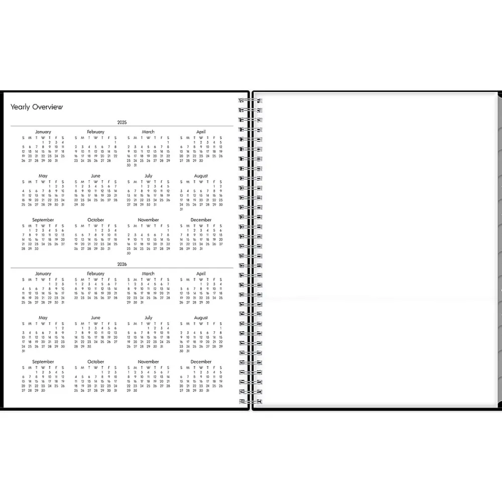 2025 Planners|Blue Sky 2025 Enterprise 8.5" x 11" Weekly & Monthly Appointment Book, Plastic Cover, Black (111289-25)