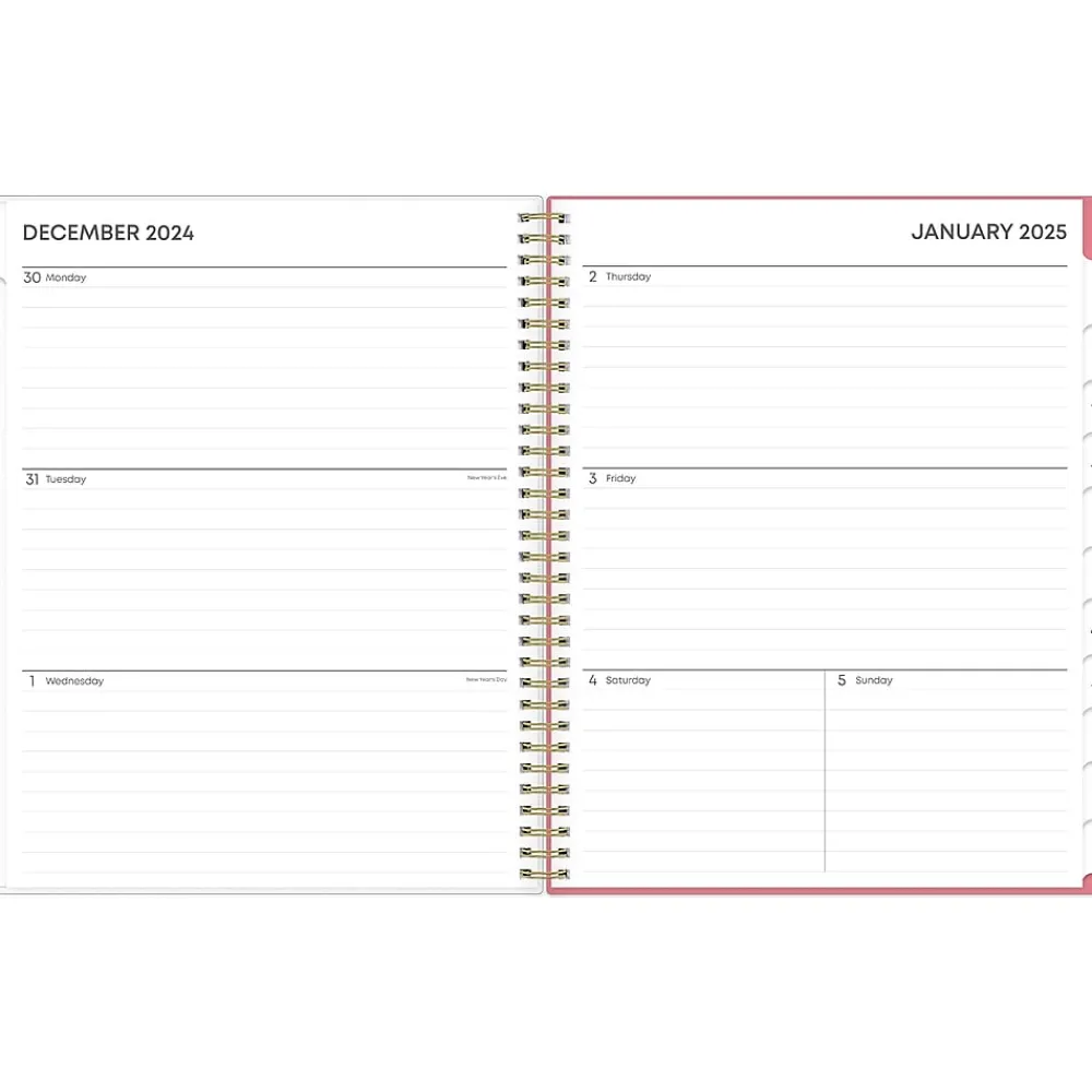 2025 Planners|Blue Sky 2025 Fly By 8.5" x 11" Weekly & Monthly Planner, Plastic Cover, Multicolor (140195-25)