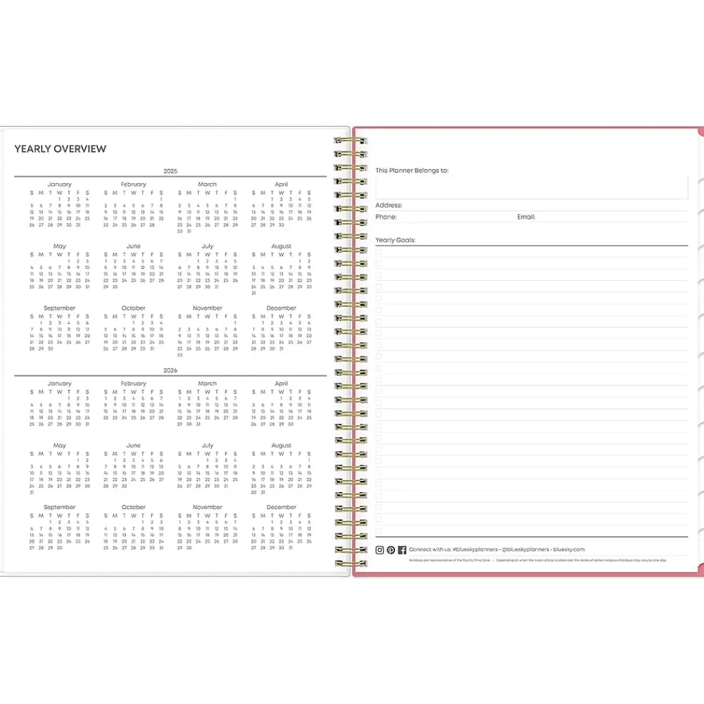 2025 Planners|Blue Sky 2025 Fly By 8.5" x 11" Weekly & Monthly Planner, Plastic Cover, Multicolor (140195-25)