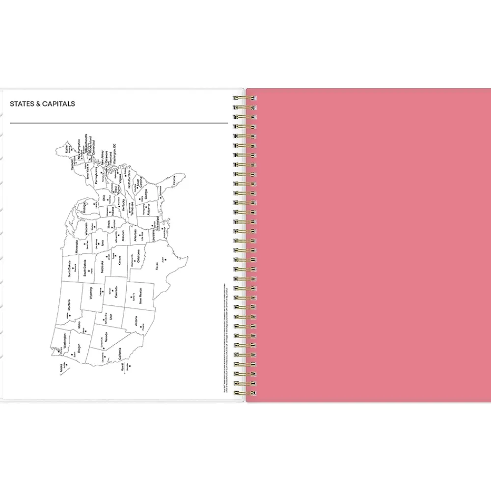 2025 Planners|Blue Sky 2025 Fly By 8.5" x 11" Weekly & Monthly Planner, Plastic Cover, Multicolor (140195-25)