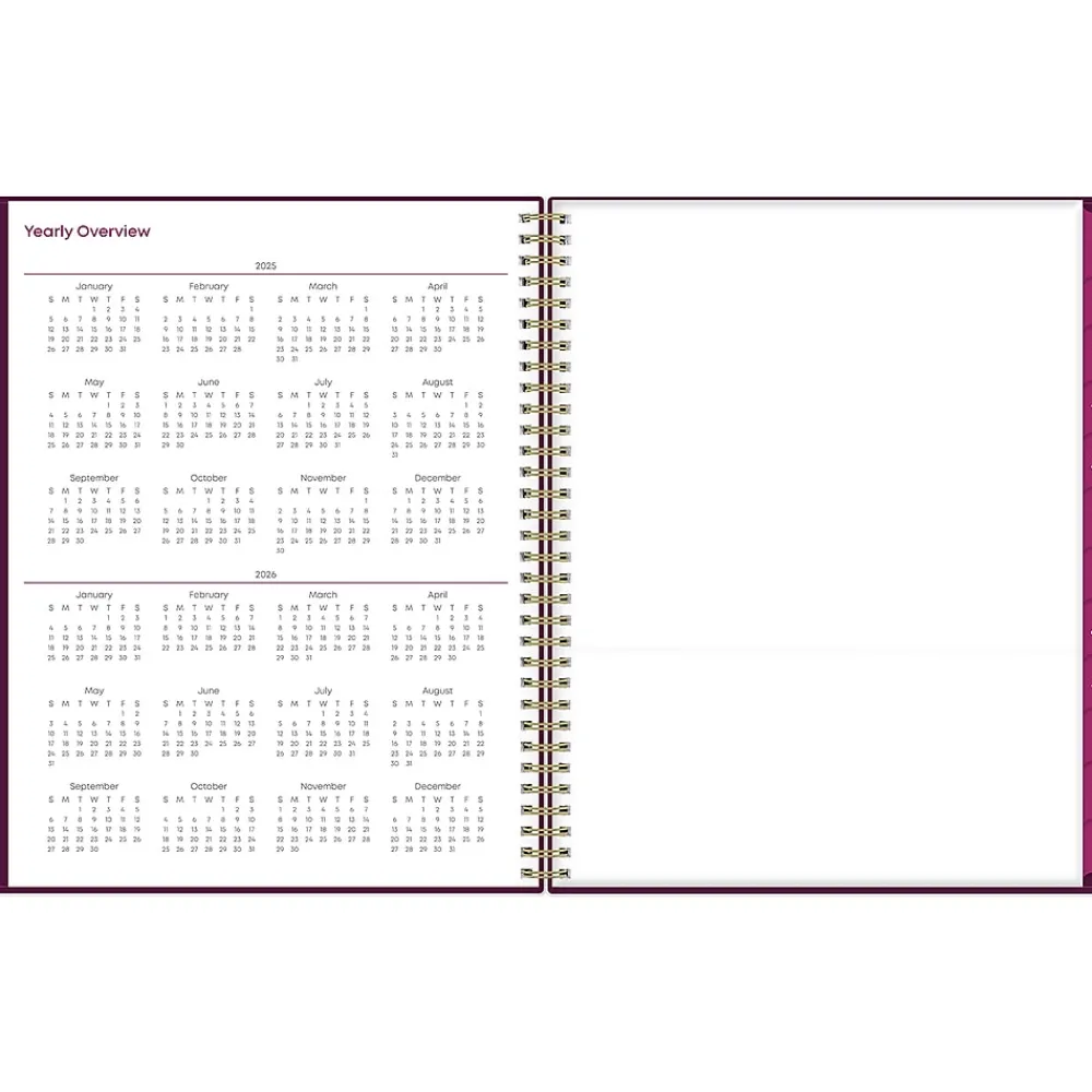 2025 Planners|Blue Sky 2025 Gili 8.5" x 11" Weekly & Monthly Planner, Plastic Cover, Burgundy/Beige (117889-25)